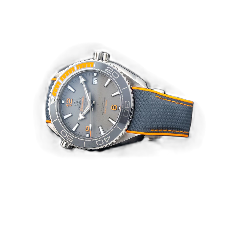 Omega 215.92.44.21.99.001 Seamaster Planet Ocean 600M
